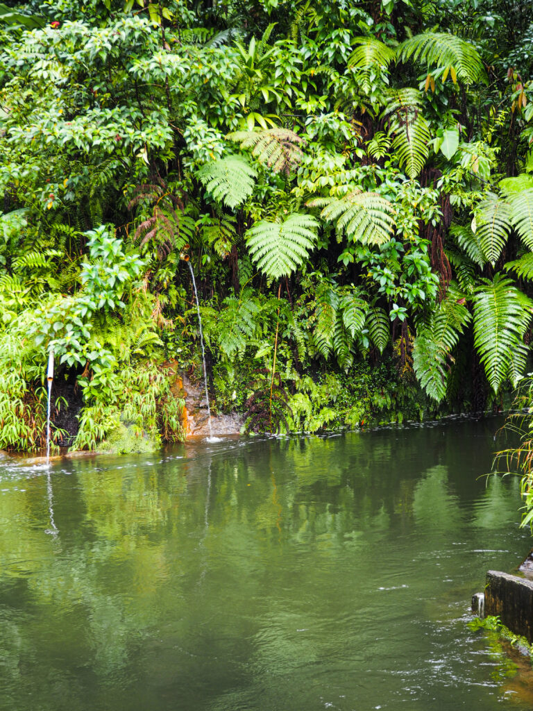 Swimming in Titou Gorge • Dominica's stunning natural wonder